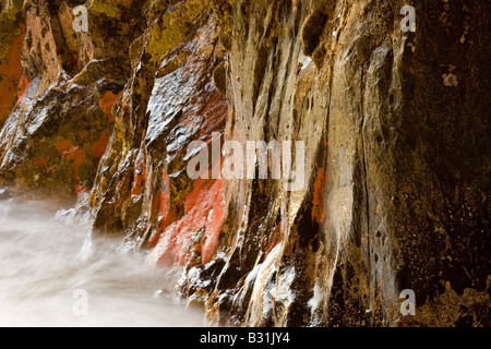 Les roches de couleur lichen rouge sont dévoilés à l'occasion d'une marée basse négative à l'intérieur d'une arche de grès à Pfeiffer Beach le long de la côte de Big Sur Banque D'Images