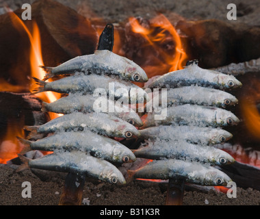 L'Espagne ou des brochettes de sardines espetos barbecueing sur feu ouvert Banque D'Images