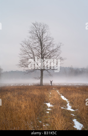 Figure Soulève les bras avec de la joie dans un paysage brumeux avec ethereal tree Banque D'Images