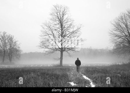 La figure mystérieuse promenades à travers un paysage brumeux avec ethereal tree Banque D'Images