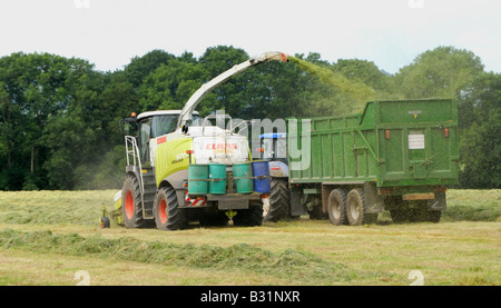 Coupe de l'ensilage de récolte des fourrages et pâturages pour nourrir les bovins pendant l'hiver sur Parkhurst Farm dans le West Sussex Banque D'Images