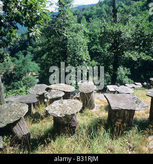 Ruches construites avec chestnut tree trunk et surmontées de lauze Ardèche France Banque D'Images