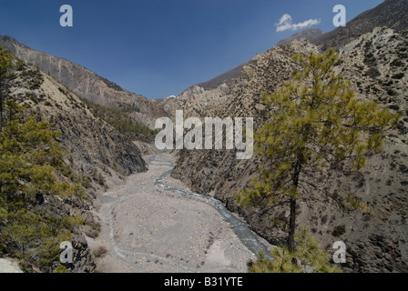 Chef de la vallée de Manang, montagnes de l'Annapurna, Népal Banque D'Images