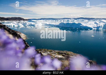 La fonte rapide des icebergs dans le site du patrimoine mondial de l'UNESCO, le fjord glacé d'Ilulissat, au Groenland Banque D'Images