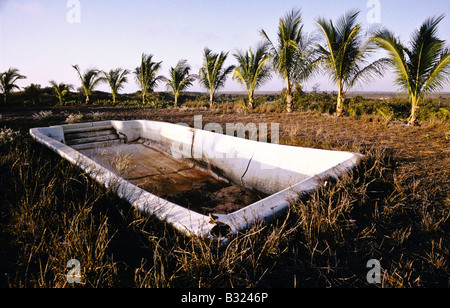 Piscine, Australie Banque D'Images