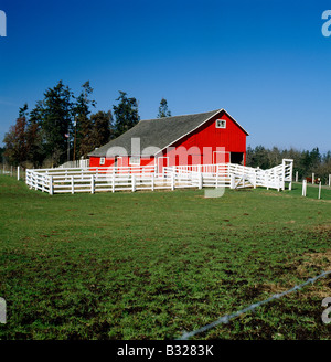 Grange rouge vif, CHARLES W. WILSON RANCH ; produits laitiers et bovins de boucherie, près de Sequim, Washington, USA Banque D'Images