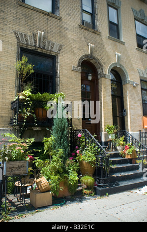 Maisons en rangée à la classe florissante le quartier historique de St Nicholas dans le quartier de Harlem, New York Banque D'Images