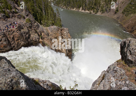 La partie supérieure des chutes de Yellowstone et la Yellowstone River pendant le ruissellement printanier le parc national de Yellowstone au Wyoming Banque D'Images