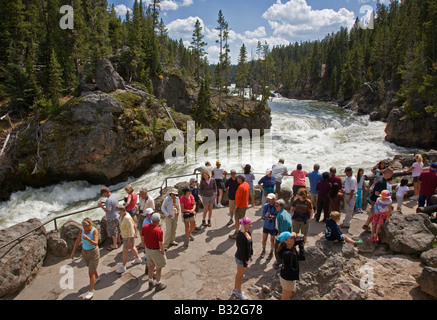 Les visiteurs de l'été profiter de la partie supérieure de l'établissement YELLOWSTONE FALLS pendant le ruissellement printanier le parc national de Yellowstone au Wyoming Banque D'Images