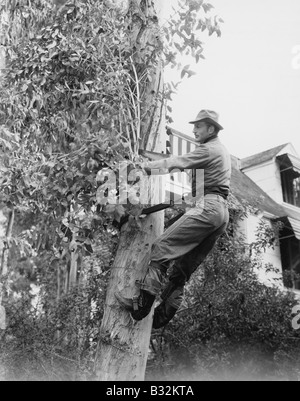 L'homme arbre élagage Banque D'Images