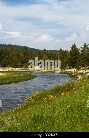 Le Nez Percé Creek coule au milieu du parc national de Yellowstone au Wyoming Banque D'Images