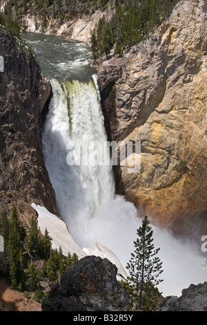 YELLOWSTONE FALLS INFÉRIEURE tombe dans le GRAND CANYON DE LA YELLOWSTONE Parc national de Yellowstone au Wyoming Banque D'Images