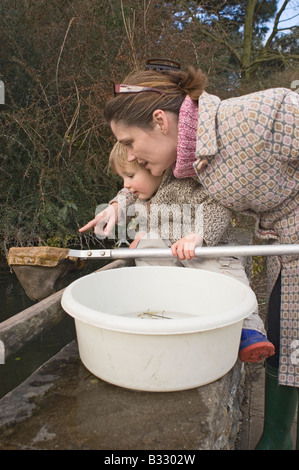 La mère et l'enfant en le trempant dans l'étang printemps UK Banque D'Images