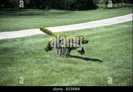 Topiary hound. Le chien de tête dans la chasse à courre s'exécute dans l'herbe avec portion de route derrière. Banque D'Images