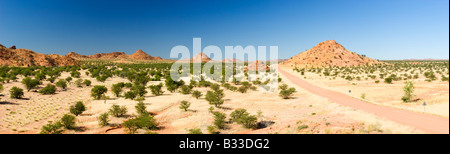 Paysage namibien Banque D'Images