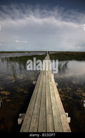 Promenade au fil de l'eau au lac de la Wildlife Refuge Banque D'Images