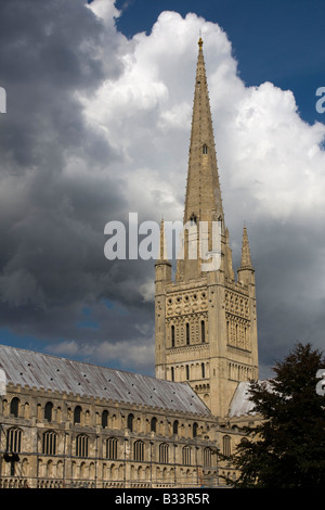 Cathédrale de Norwich norfolk d'East Anglia angleterre uk go Banque D'Images