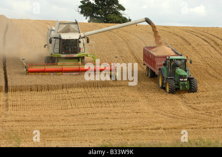 Collecte de moissonneuse-batteuse sa récolte sur les terres arables près de Leighton dans le Shropshire Banque D'Images