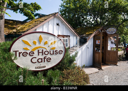 'La Maison de l'arbre Cafe Salt Spring Island, Canada' Banque D'Images