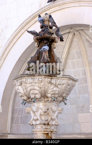 Fontaine finement sculpté dans la vieille ville de Dubrovnik est un endroit potable préférés pour les oiseaux, Banque D'Images