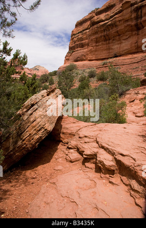 Red Rock Canyon Trail à travers tombé Boynton Canyon Sedona Arizona USA Banque D'Images