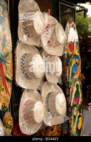 Montuno chapeaux sur l'affichage à un marché rural de El Valle de la province de Panama Cocle. Banque D'Images