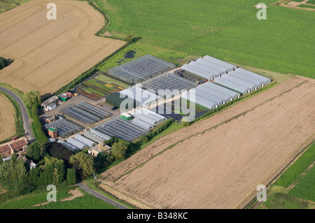 Vue aérienne de serres de pépinières commerciales, Norfolk, Angleterre Banque D'Images