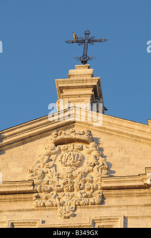 Cigognes blanches Ciconia ciconia européenne sur la perche au-dessus de la croix la cathédrale Catedral Valladolid Espagne Banque D'Images