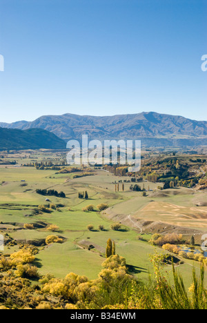 Paysage typique de l'Otago près de Arrowtown, vu de la route jusqu'à Coronet Peak Banque D'Images