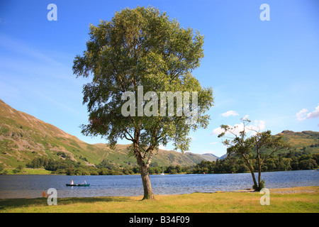 Silver Birch Tree sur les rives d'un lac avec deux personnes canoing dans la distance sur un jour d'été. Banque D'Images