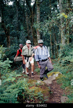 L'Ouganda, l'ouest de l'Ouganda, Monts Rwenzori. Sur le sentier forestier à 8 000 pieds entre le Nyakalungija et Nyabitaba Hut. Banque D'Images