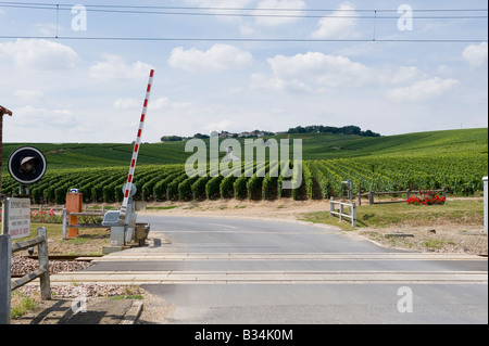 Passage à niveau sans pilote et de vignobles à Avenay Val d'Or, Champagne Ardenne, France avec Mutigny village de la distance Banque D'Images