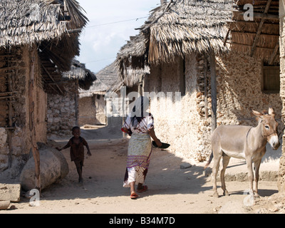 Le Kenya, l'Kisingitini, l'Ile de Pate. Une scène de rue typique dans le village de pêcheurs de Kisingitini, un port naturel sur l'Ile de Pate. Presque toutes les maisons y sont construites de chiffon ou d'un corail à partir de blocs de corail de chaume de coco fabriqués à partir de feuilles de palmier, connu sous le nom de makuti. Avec pas de routes ou de voitures sur l'île, les ânes sont rode et utilisé pour transporter des charges.Kisingitini est le centre de l'industrie de la pêche de l'île aux écrevisses étant les pêcheurs ses précieuses prises. L'île est la plus grande de l'archipel de Lamu situé dans l'Océan Indien juste au nord de l'île de Lamu, et 150 miles au nord-nord-est de Mombasa. Banque D'Images