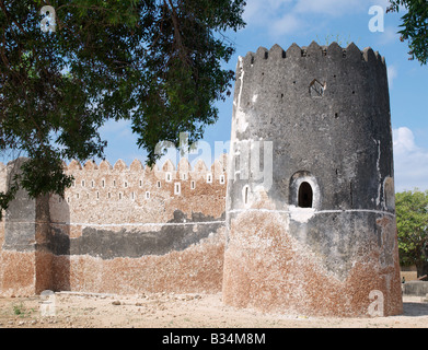 Au Kenya. Siyu Fort. Le Sultan de Zanzibar au milieu du 19ème siècle construit ce fort impressionnant à la fin de la marée bordés de mangroves chenal menant à Siyu village sur l'Ile de Pate. Il y a des troupes étaient en garnison à enfin mettre les habitants de la petite plus ou moins indépendants sultanat d'Siyu fermement sous son règne. Le fort est actuellement l'objet d'importantes réparations après des années de négligence.Siyu a été fondée au 15e siècle et à son apogée avait 30 000 habitants ; il y a maintenant moins de 4 000 habitants. Banque D'Images