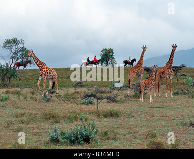 Kenya, District de Naivasha, Longonot Ranch. Le visionnement de jeu à cheval sur les plaines à proximité des contreforts du Mont Longonot. Banque D'Images