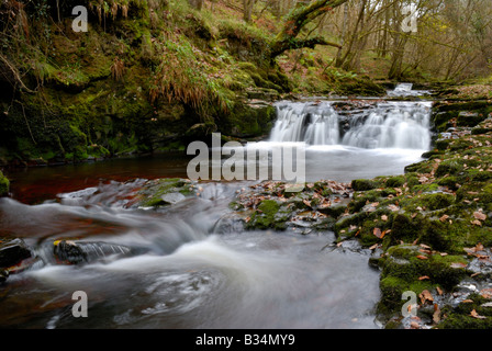 Pyrddin la rivière dans le parc national de Brecon Beacons du sud du Pays de Galles au cours de l'automne Banque D'Images