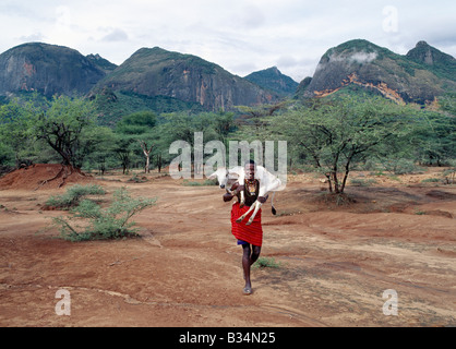 Kenya, Samburu, Ndoto Mountains. Un guerrier Samburu apporte à la maison un petit veau de la manyatta (homestead) situé au pied de la montagnes Ndoto robuste. Les Samburu du nord du Kenya sont un pasteurs semi-nomades, liées à leurs cousins, le plus célèbre -parlant maa Massaï. Banque D'Images