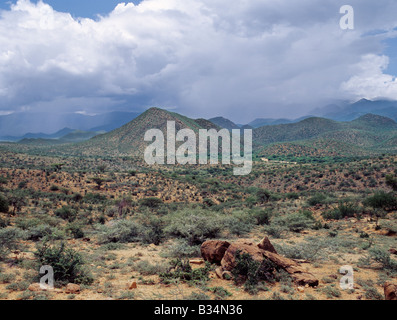 Kenya, Samburu, Latakwen. De buissons épineux semi-arides décrit le mieux la végétation du nord du Samburuland où les pasteurs semi-nomades à vivoter d'une terre hostile. La région est caractérisée par des sites grandioses, la pauvreté des sols et le manque de fiabilité de l'eau de pluie. Cependant, les 8 650 pieds de haut Ndoto Mountains (dans le lointain) aider à précipiter la pluie.Ce ranch communal la terre appartient à l'Samburu qui sont liés à l'option -maa parlant Massaï. Banque D'Images