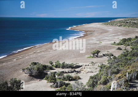 Otaries sur la berge à Reserva Faunistica Peninsula Valdes près de Puerto Madryn en Patagonie, Argentine. Banque D'Images