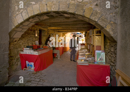 Plein air annuel salon du livre / Foire aux Livres, Les Angles-sur-l'Anglin, Vienne, France. Banque D'Images