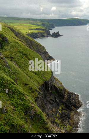 Entre Pembrokeshire Coast National Park et Moylgrove Cardigan Banque D'Images