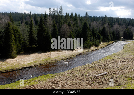 Roklansky Modrava potok Parc National de Sumava République Tchèque Banque D'Images