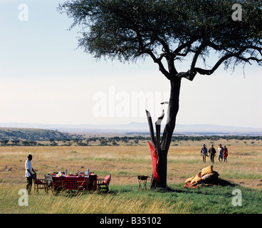 Au Kenya, le Masai Mara. À la fin d'un jeu de marche tôt le matin, le petit-déjeuner est mis en place dans les wilds du Masai Mara. Banque D'Images