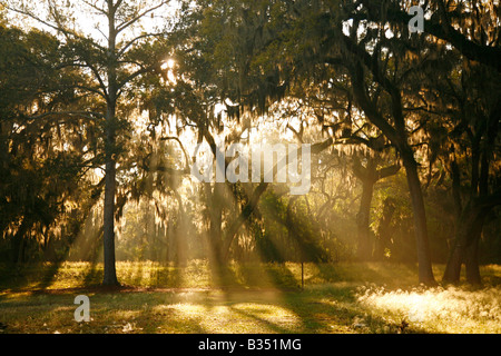 L'aube à Fort Frederica National Monument, St Simons Island, Géorgie Banque D'Images