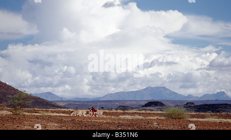 Kenya, Turkana, Sirima. Un homme Turkana pousse ses ânes à travers des champs de lave que les nuages se rassemblent au-dessus du Mont Nyiru. Banque D'Images