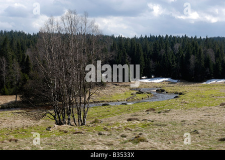 Roklansky Modrava potok Parc National de Sumava République Tchèque Banque D'Images