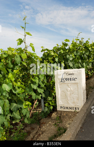 Cuvee louise pommery vignoble signe à verzenay montagne de Reims france Banque D'Images