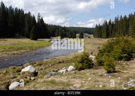 Roklansky Modrava potok Parc National de Sumava République Tchèque Banque D'Images