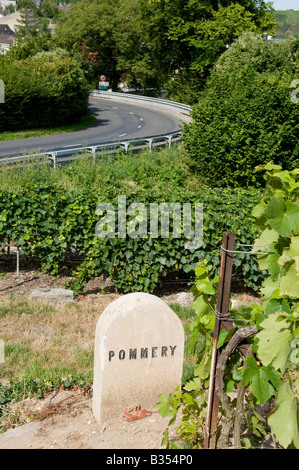 Vignoble pommery signer verzenay france Banque D'Images