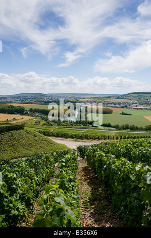 Vignes menant à la rivière Marne de Hautvillers avec la ville d'Epernay dans la distance Banque D'Images